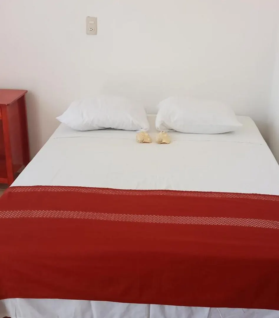1Tiburon Tigre Squalos Place Isla Holbox Mexico