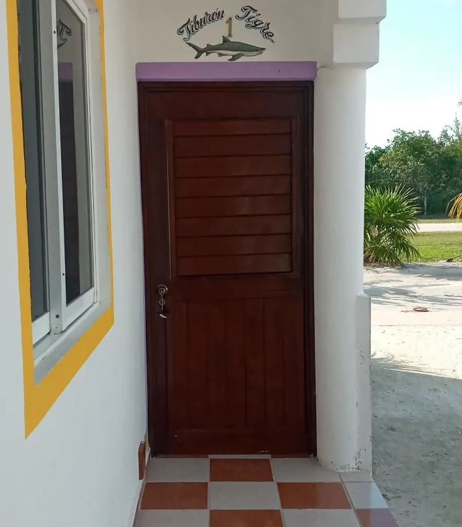 1Tiburon Tigre Squalos Place Isla Holbox